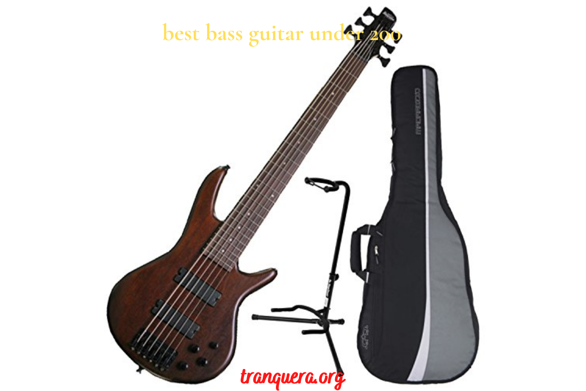 5 Best Affordable Bass Guitars Under 200 Enthusiasts On A Budget